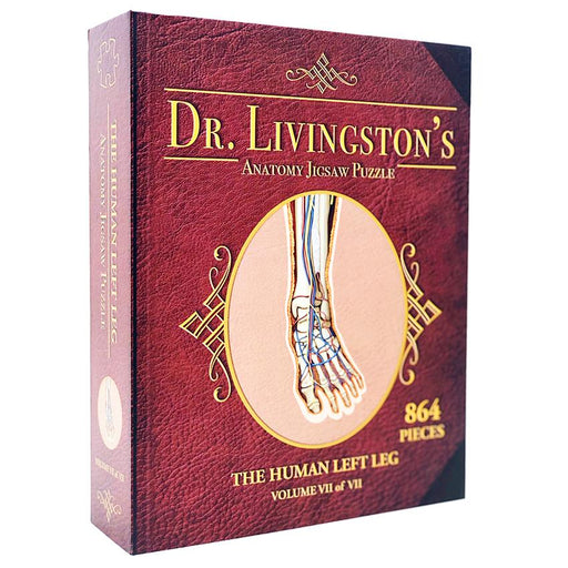 Dr Livingston Anatomy Jigsaw Puzzle The Human Left Leg 864 Pieces   